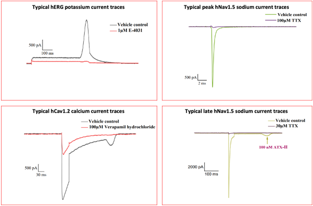 Gt-Graph-2