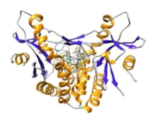 Immune Therapy Rare Disease 1
