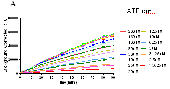 Kinase02