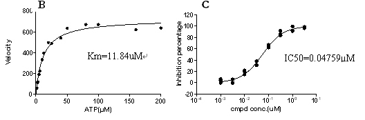 Kinase022