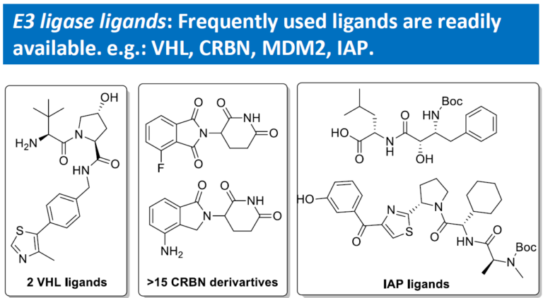 Tpd E3 Ligase Ligands