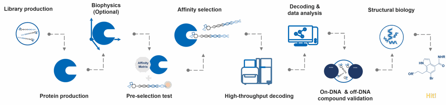 Workflow-For-Del-1536X363-1