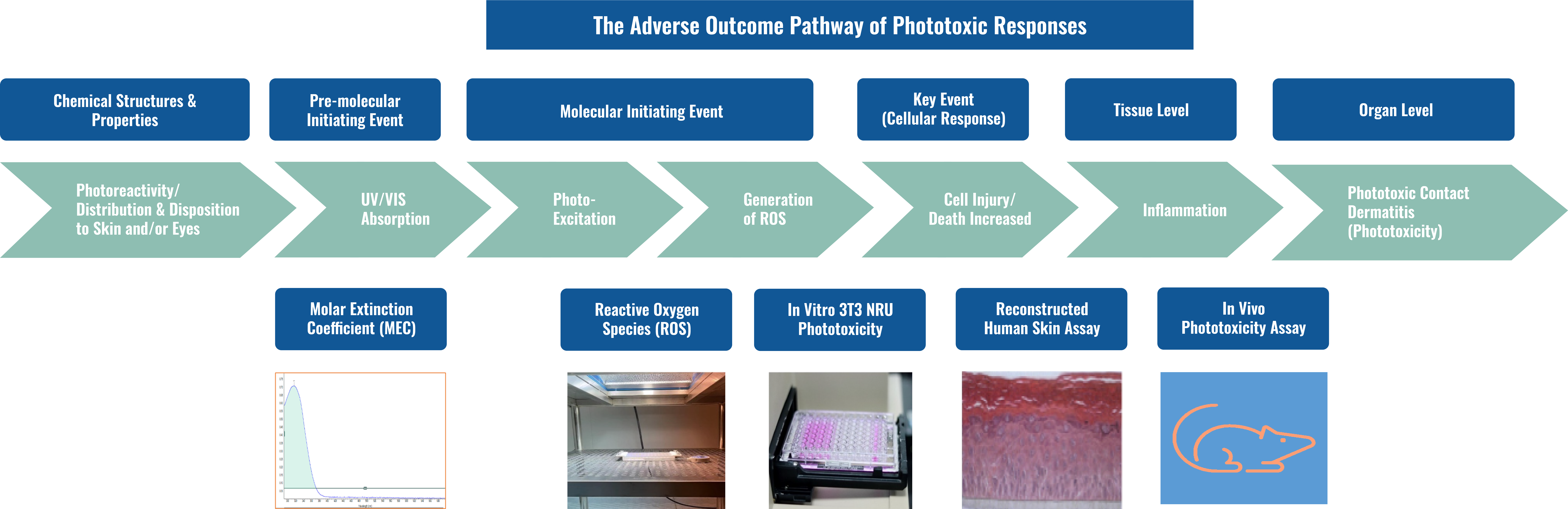 Wuxi-Geneticinvitro_Assets-01-1