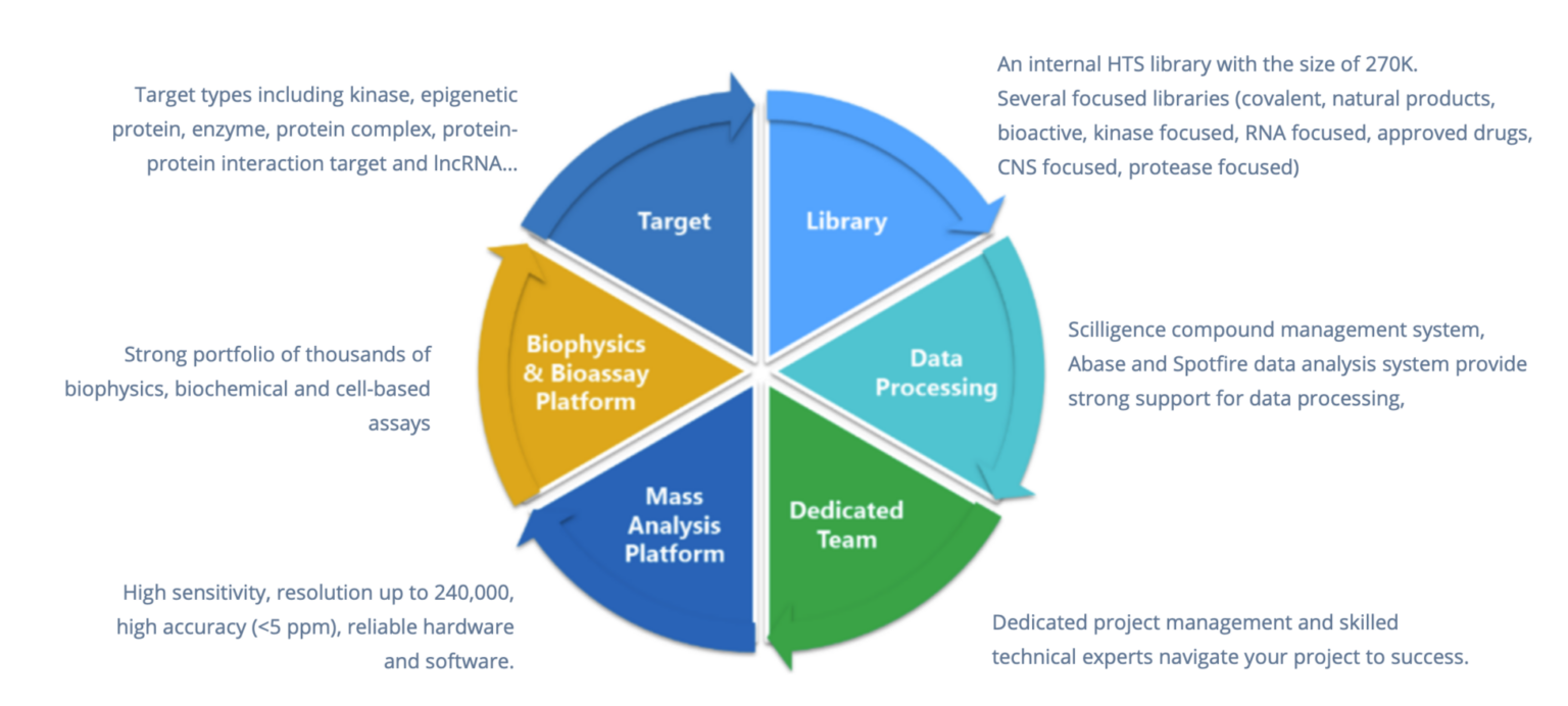 Comprehensive-Capability-And-Strengths-2048X923-1-1536X692-1