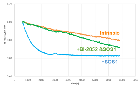 Image 12 2