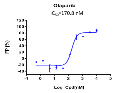 Image-4-2