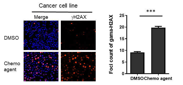Image-7-1