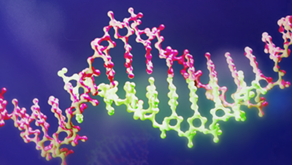 A Double Helix Dna Strand Model Rendered In Pink And Bright Green Against A Dark Blue Background.