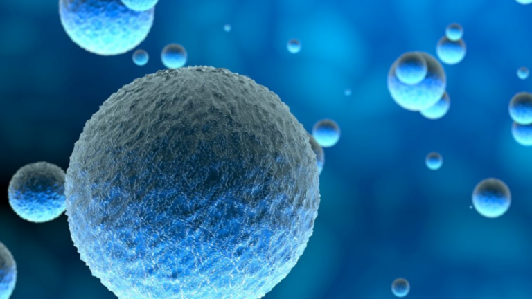 3 common missteps in nonclinical safety assessment testing 3 Blog 27 Glp Tox