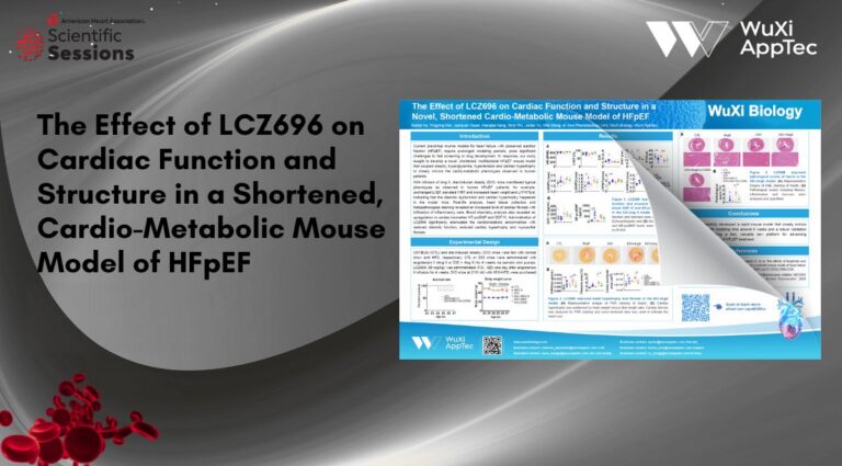 Done Poster Aha 2025 Heart Failure Mouse Model V4