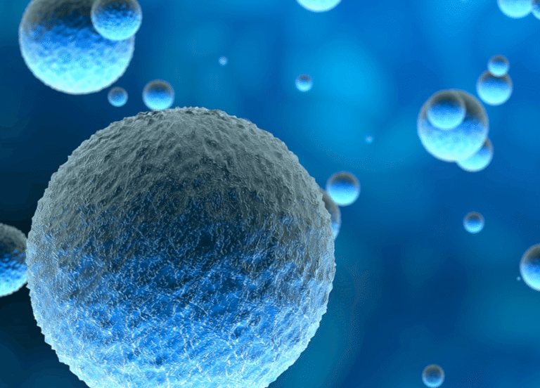 nams in focus: the evolution of skin irritation and corrosion testing based on reconstructed human epidermis models 2 Nams Skin Sensitization Website E1787067709354