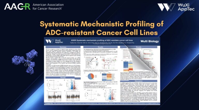 combined inhibition of kras g12c and pd1 boosts therapeutic efficacy via conditioning of tumor microenvironment 4 Poster Aacr 2026 Adc Resistant Cancer Cell Lines V3