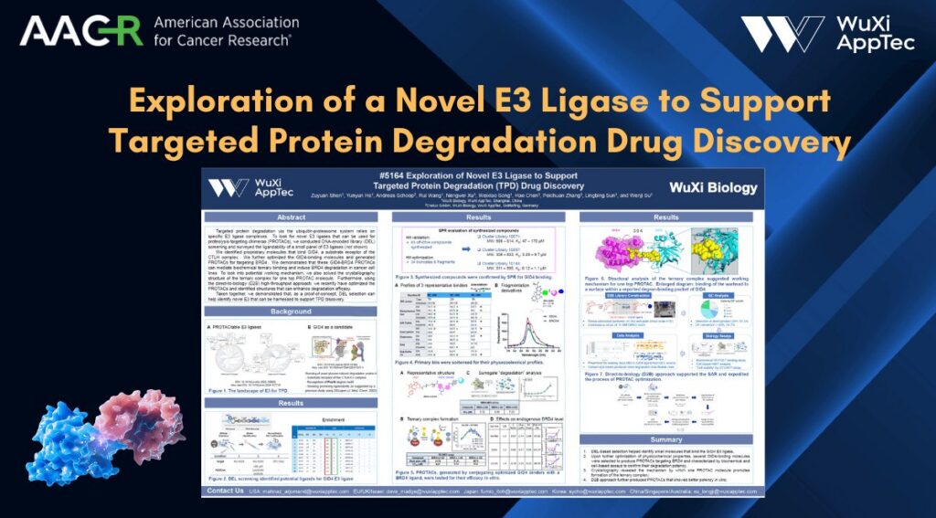 Poster Aacr 2026 E3 Ligase