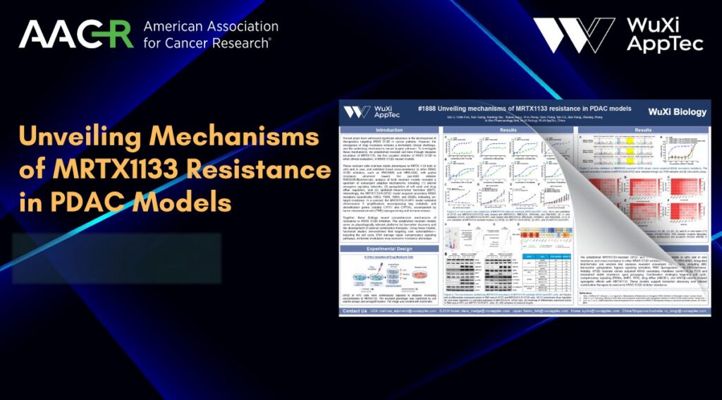 Poster Aacr 2026 Mrtx1133 Resistance Pdac Models