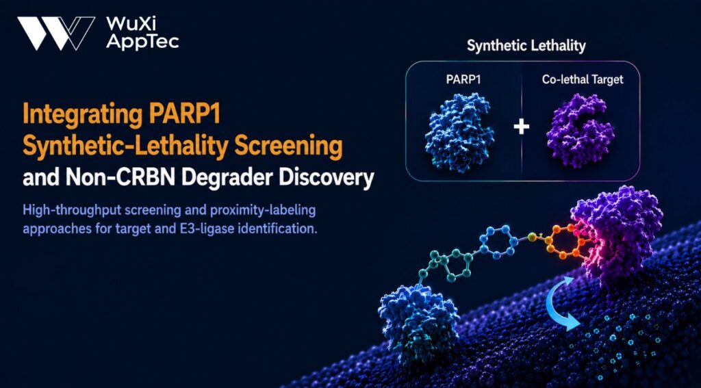 Poster Aacr 2026 Parp1 And Synthetic Lethality Screening And Mgs