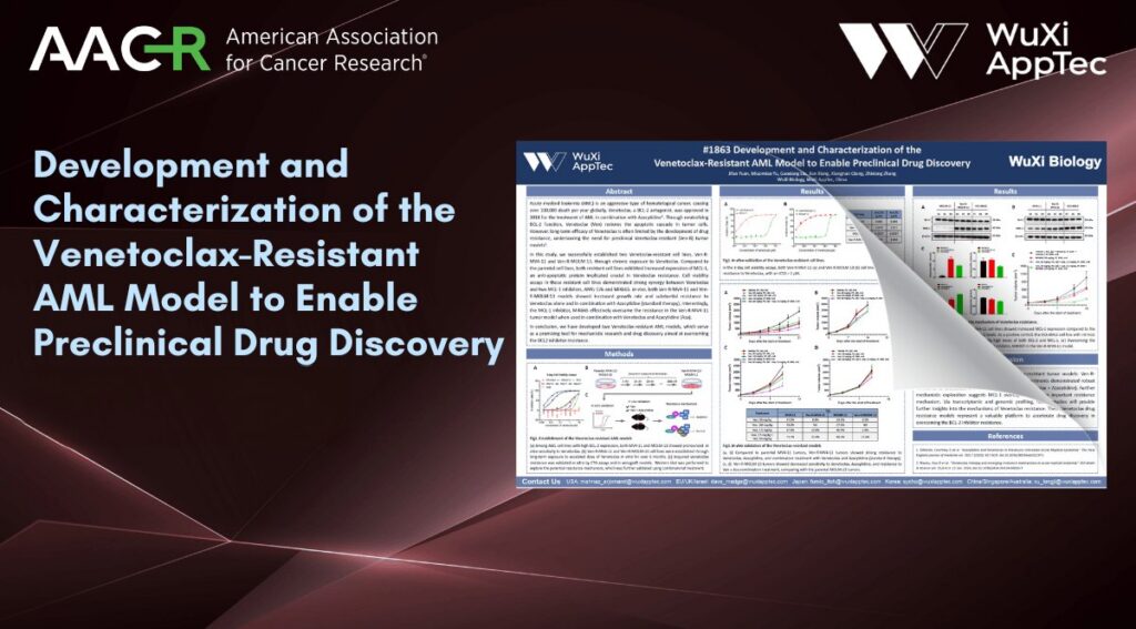 Poster Aacr 2026 Venetoclax Resistant Aml Model