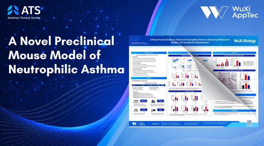 Poster Ats 2026 Mouse Model Of Neutrophilic Asthma