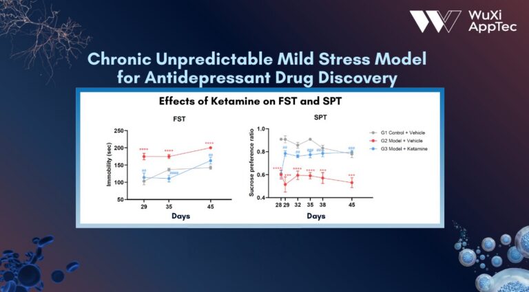 Presentation Rodent Stress Model V2