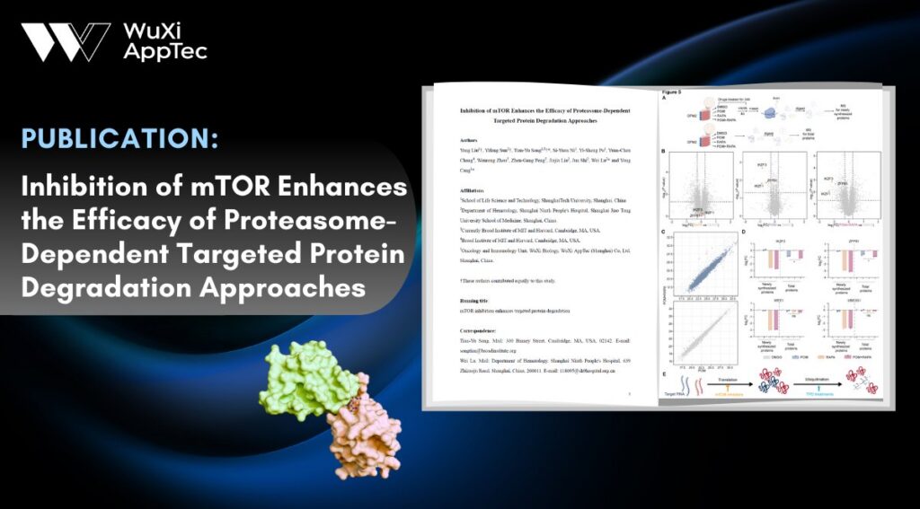 Publication Mtor Inhibition And Tpd Wuxi Scientists As Co Authors Feb 2026