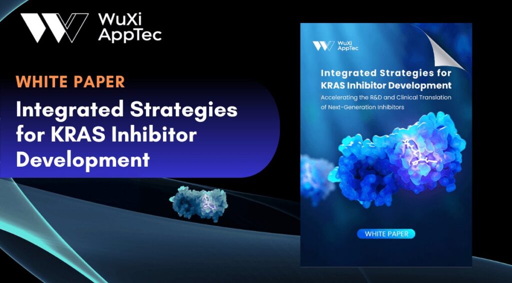 White Paper Internal Kras Inhibitor Development