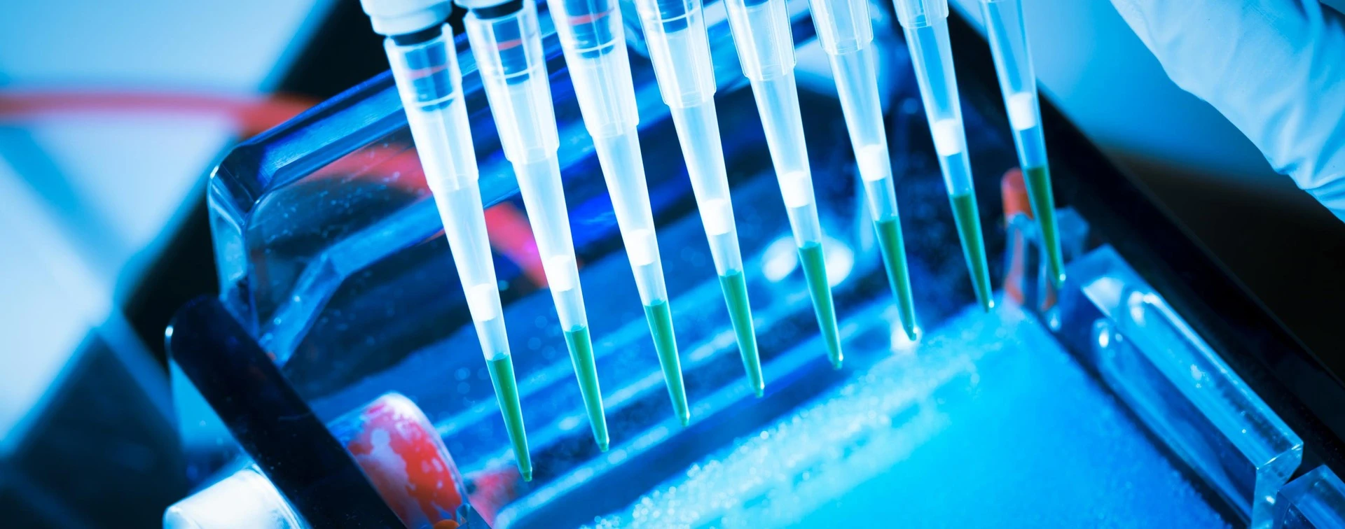 Discovery Biology Services Hero