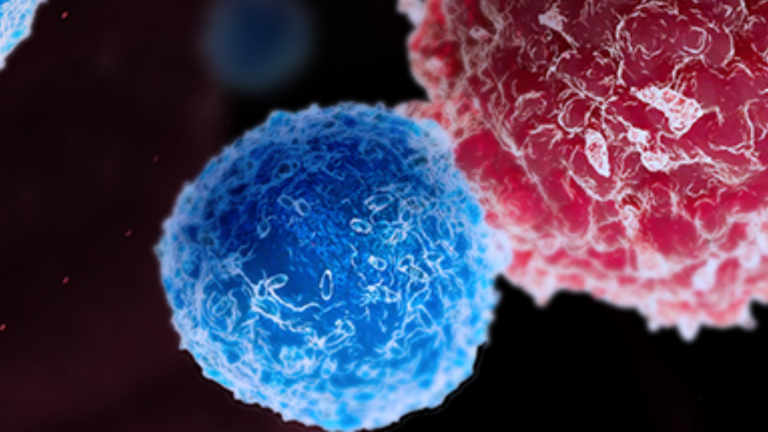 7 most common bioanalytical testing platforms for small and large molecule bioanalysis 2 Wuxi Lab Blue And Pink Textured Cells